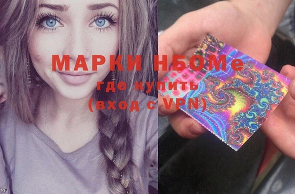 хмурый Алексин