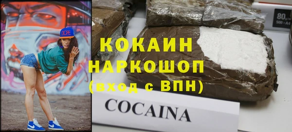 хмурый Алексин