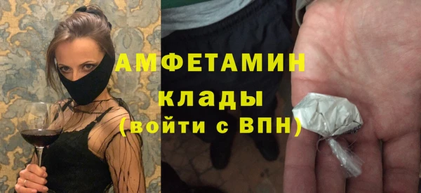 хмурый Алексин